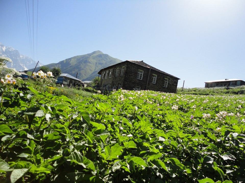 Caucasus Guesthouse Ushguli Exterior photo